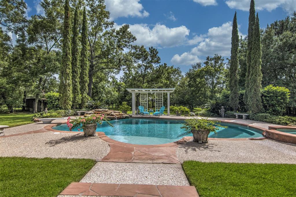 Backyard pool and outdoor area surrounded by trees